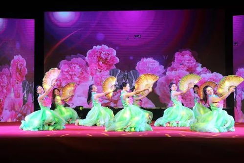 文藝演出閃耀人道光輝 大溪紅十字主題文藝匯演